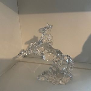 Wonders of the Wild Horse